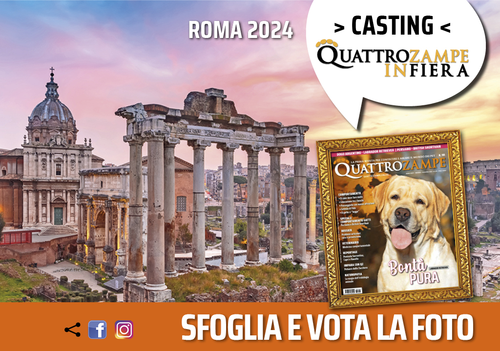 Concorso Fotografico - QuattroZampe in Fiera - Roma - Febbraio 2024