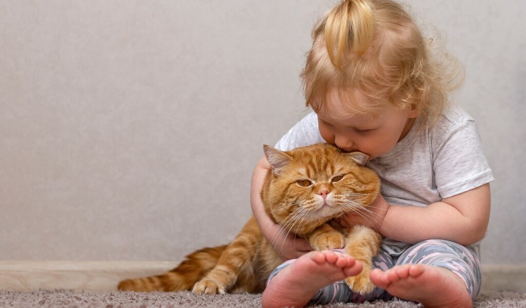 Gatto e bimbo: una relazione che arricchisce