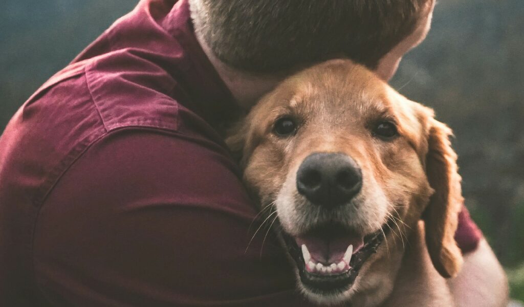 Un cane che ha paura dei rumori forti va supportato