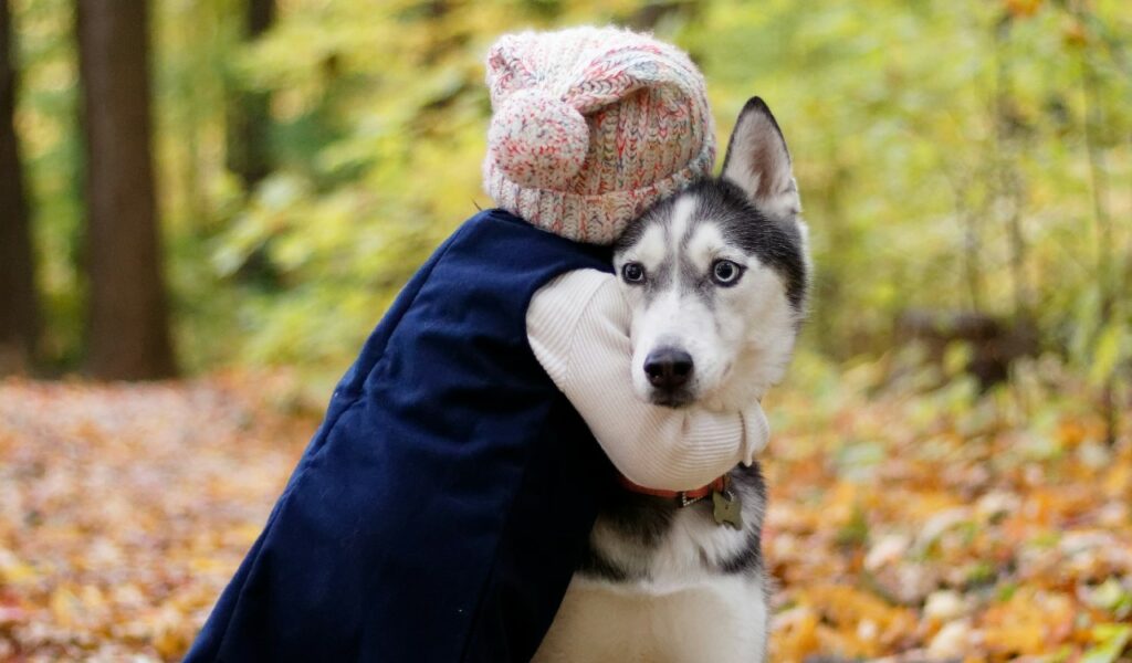 Prevenire il morso di un cane: è importante riconoscerne il linguaggio