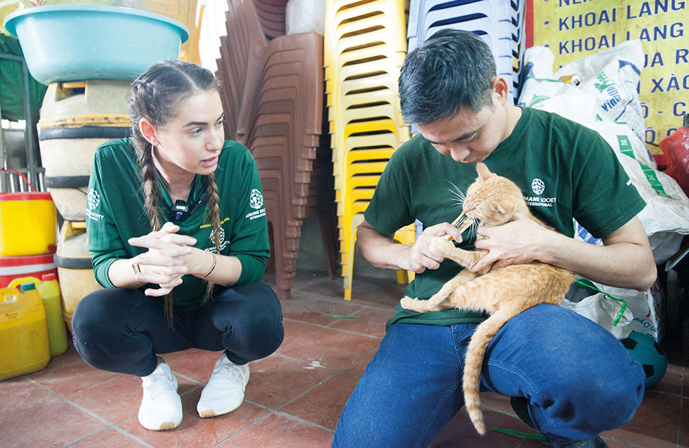 Vietnam, chiuso un macello di gatti