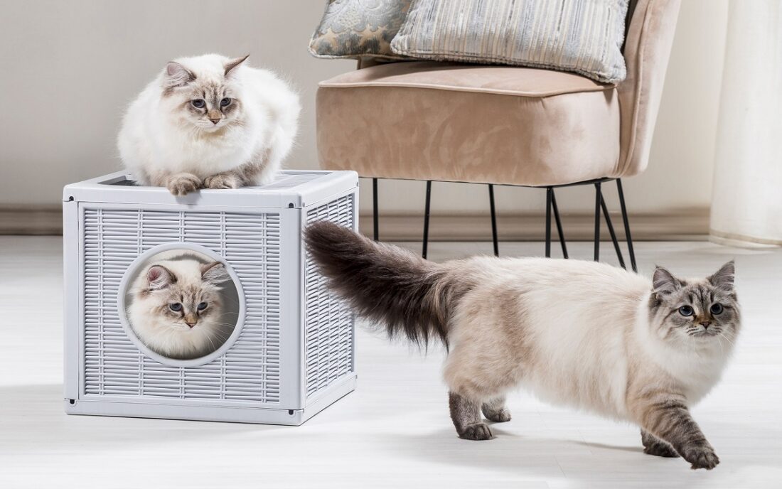 Cuccia Per Gatti In Feltro DownyPaws - Doppio Foro, 58x33x30 Cm, Color Crema