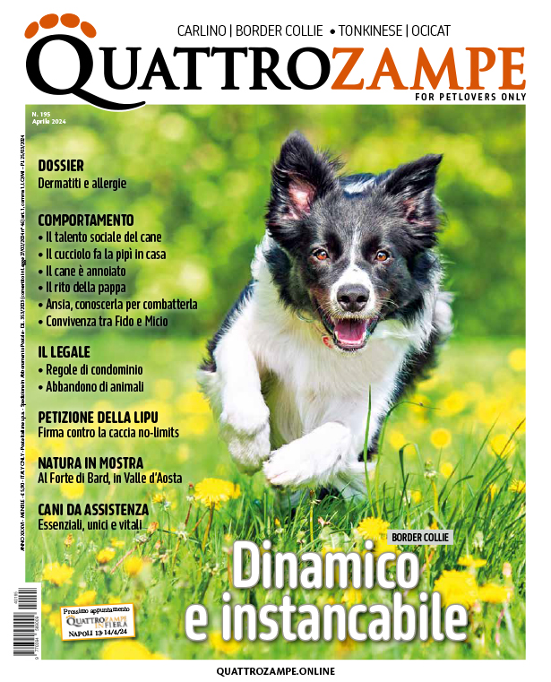 È in edicola e online il numero di aprile 2024 di Quattrozampe