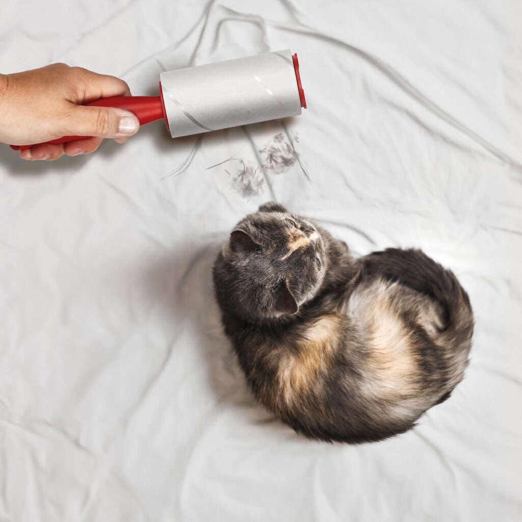 Vileda Pet Pro Lint Roller è il tuo alleato per mantenere i tessuti sempre puliti nel momento del cambio del pelo