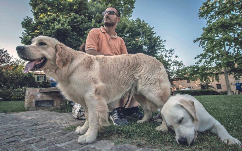 La magia dei cani da assistenza