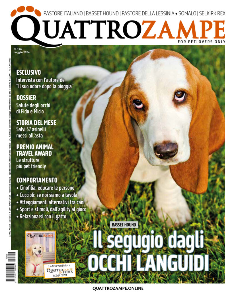 È in edicola e online il numero di maggio 2024 di Quattrozampe