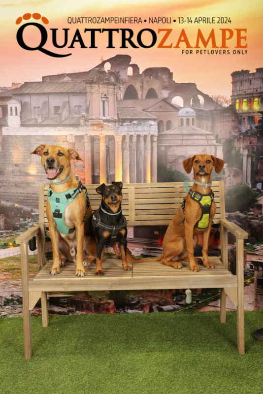 Concorso Fotografico - QuattroZampe in Fiera - Napoli - Aprile 2024