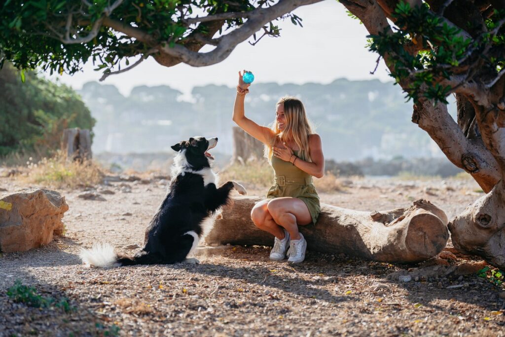 Meglio utilizzare tutto l'anno e in tutta Italia gli antiparassitari per cani