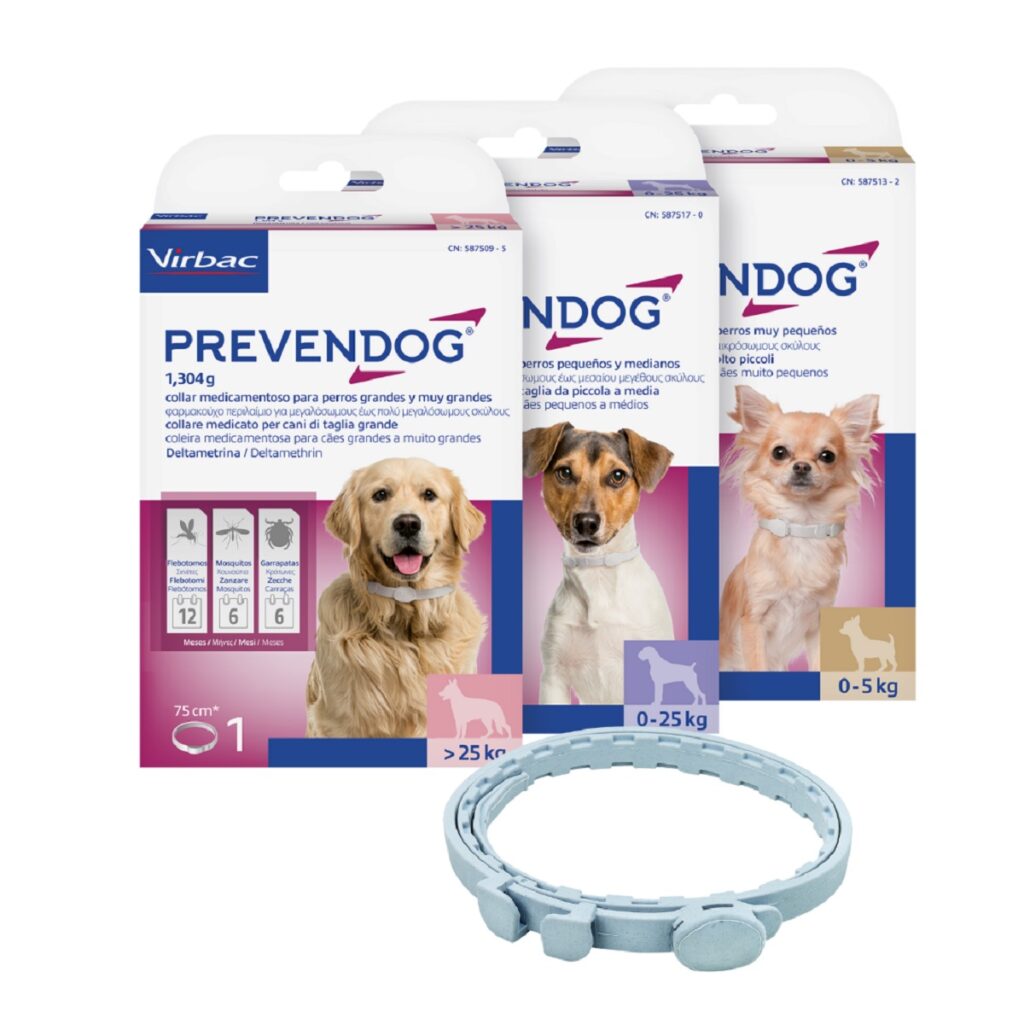 Prevendog di Virbac è il collare antiparassitario per cani sempre in forma