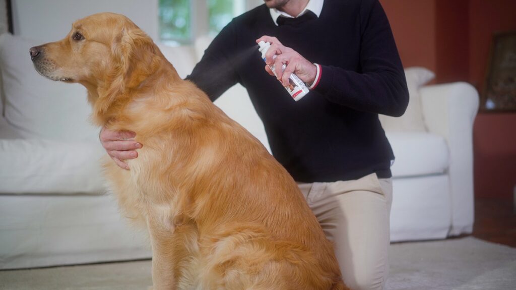 Gli antiparassitari naturali garantisono al tuo cane salute e benessere rispettando anche l'ambiente