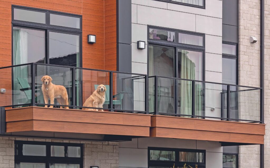 Animali domestici in condominio