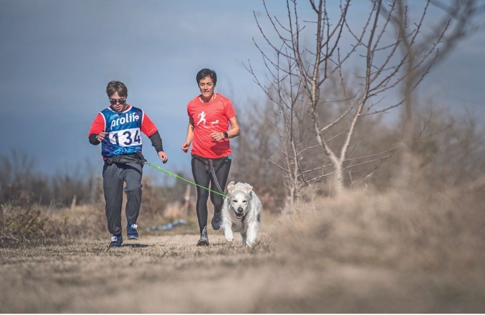 Quando la pet therapy va di corsa