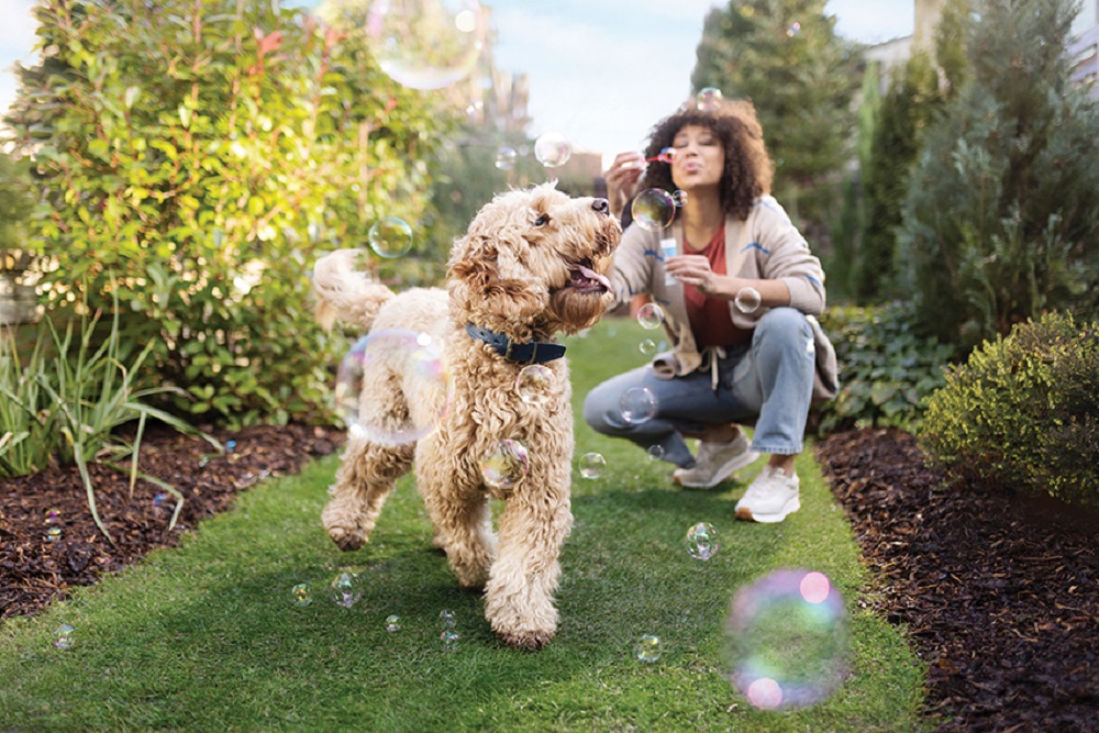 È sempre bene fare attenzione a cute e stomaco sensibili in cani e gatti per garantire il loro benessere