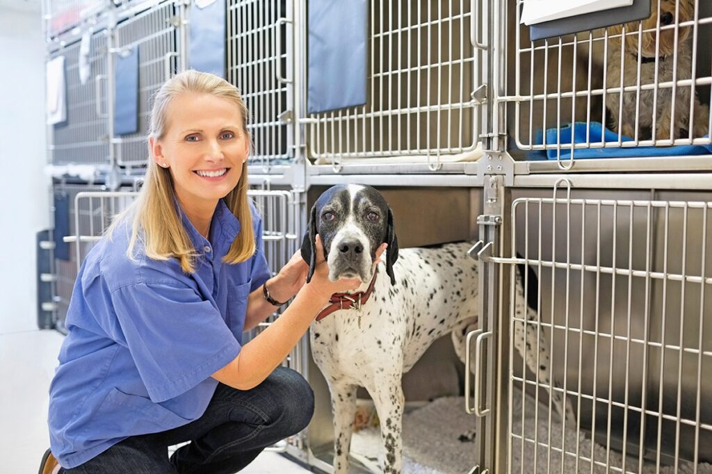 Potrai fare una donazione a un canile o segnalare cani da adottare tramite l'app per animali Pheedos