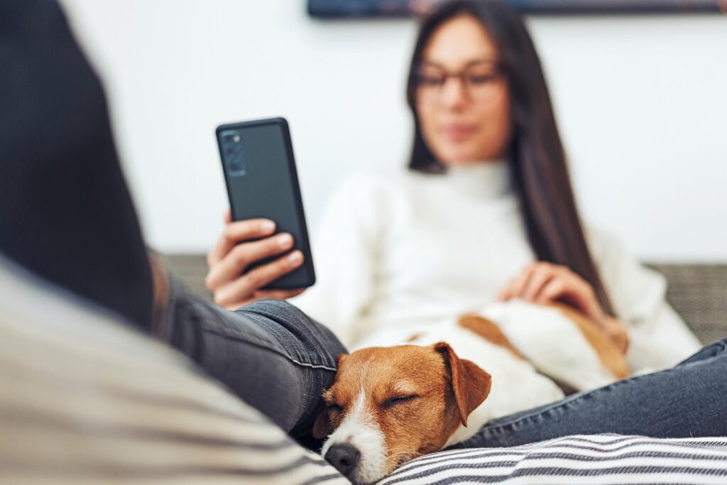 Un aiuto concreto ai pet in difficoltà è quello che puoi dare utilizzando l'app per animali Pheedos