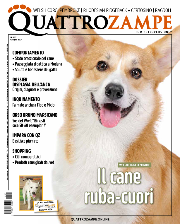 È in edicola e online il numero di giugno 2024 di Quattrozampe