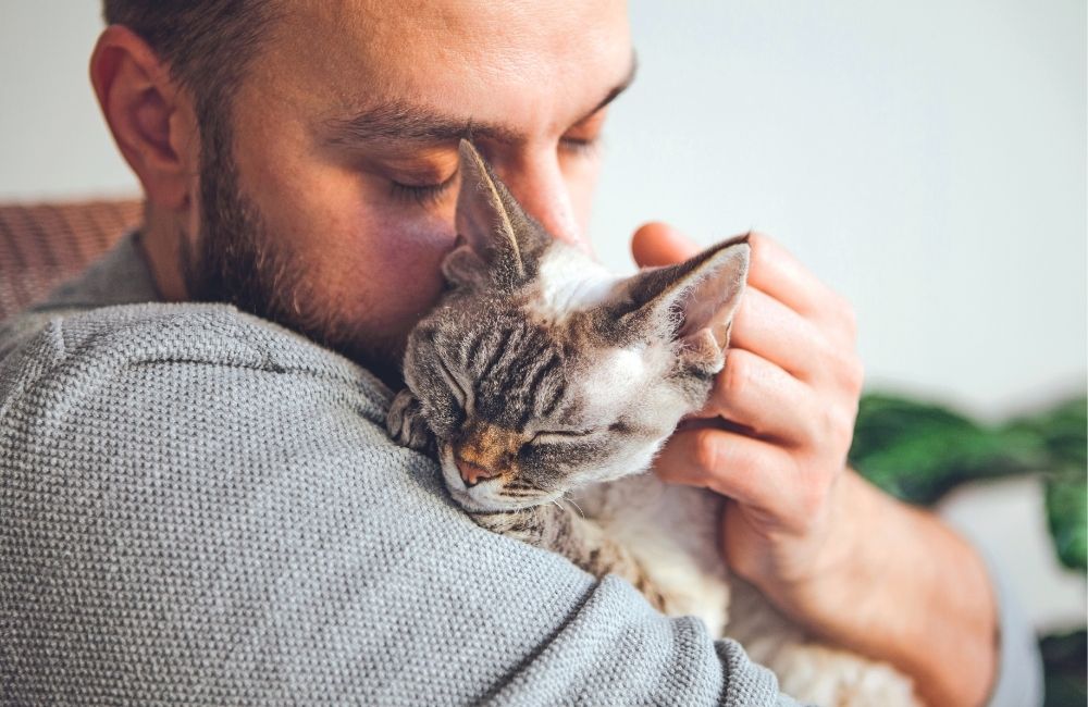 Relazionarsi... con il gatto