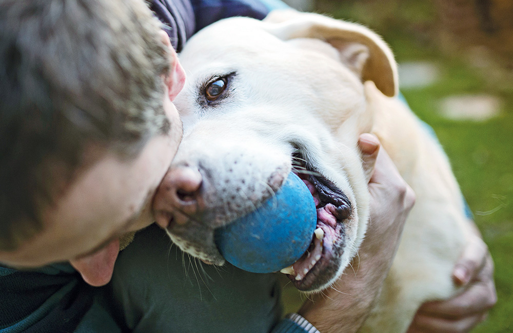 Lo stato emozionale del cane
