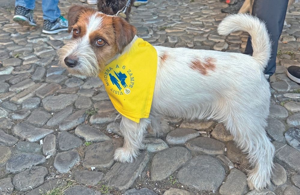 Passeggiata didattica con Amdogt
