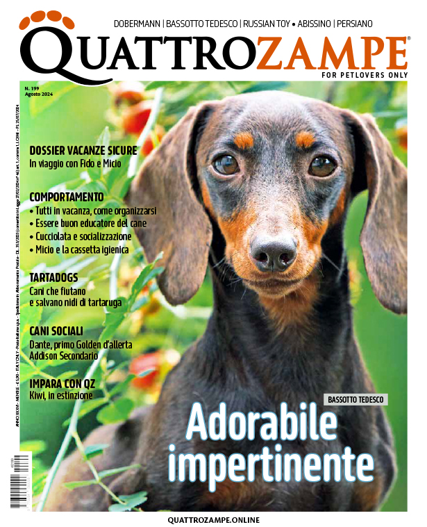 Editoriali
