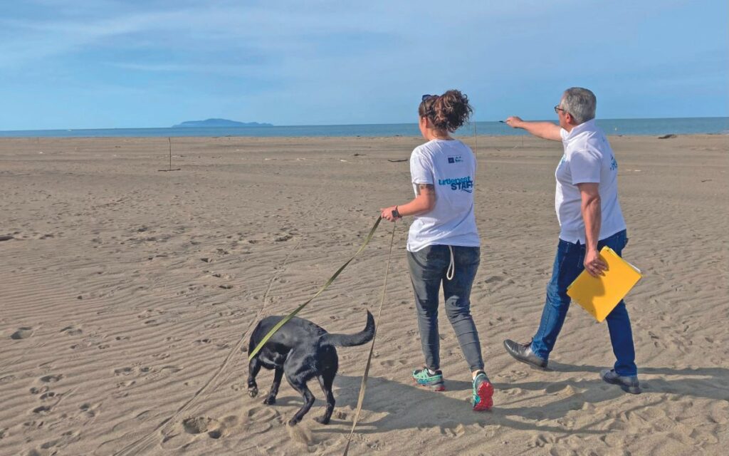 Con i Tartadogs uova al sicuro