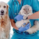 BeliceWeb.it - Vescica di cani e gatti, come proteggerla naturalmente