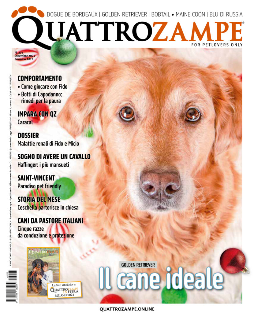 Editoriali