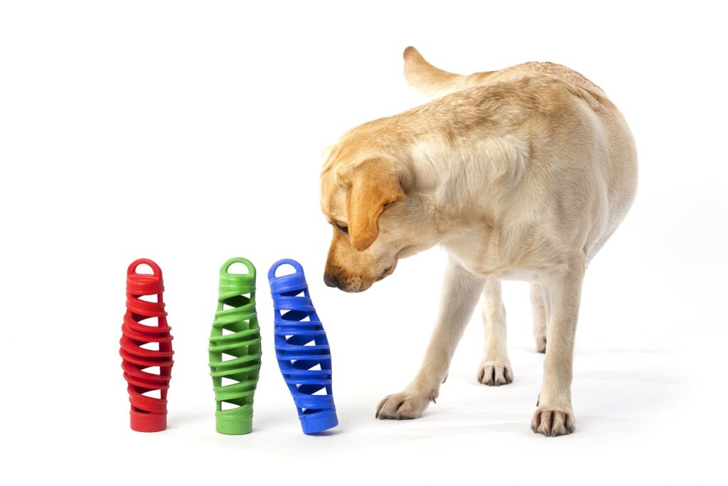 A Natale tra i regali per animali c'è anche Tira&molla, il divertente gioco che galleggia e rimbalza