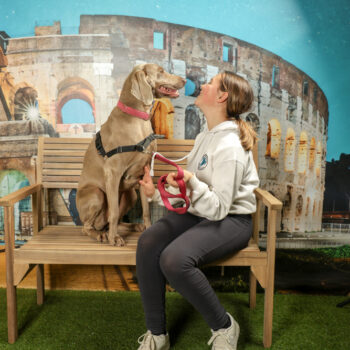 Concorso Fotografico - QuattroZampe in Fiera - Roma - 8-9 febbraio 2025
