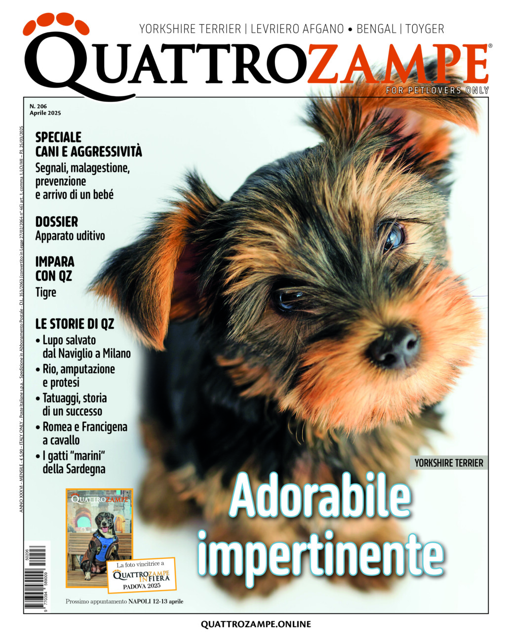 quattro zampe