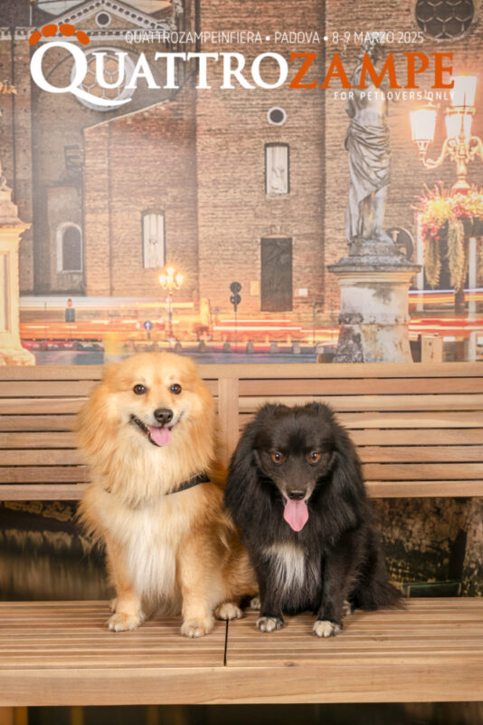Concorso Fotografico - QuattroZampe in Fiera - Padova - Marzo 2025
