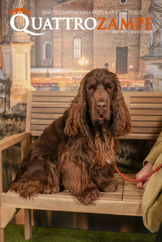 Concorso Fotografico - QuattroZampe in Fiera - Padova - Marzo 2025