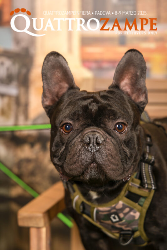 Concorso Fotografico - QuattroZampe in Fiera - Padova - Marzo 2025