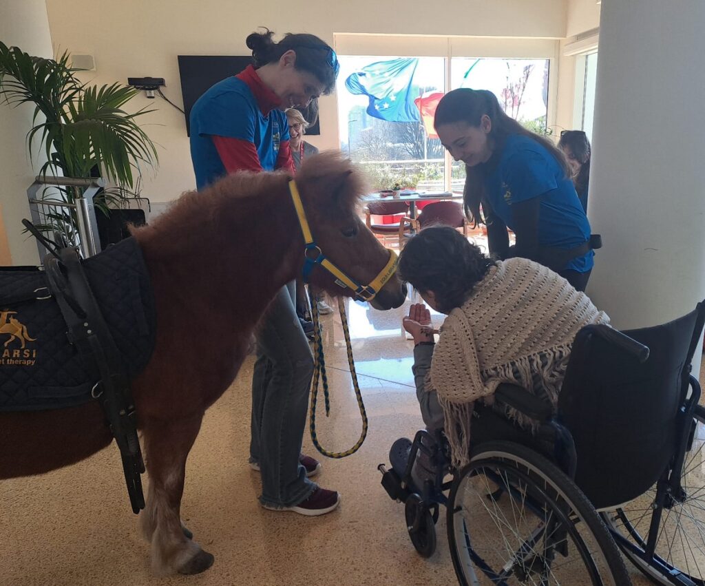 Grazie anche alla pet therapy con i cavalli i pazienti di Casa VIDAS trascorrono dei momenti di serenità