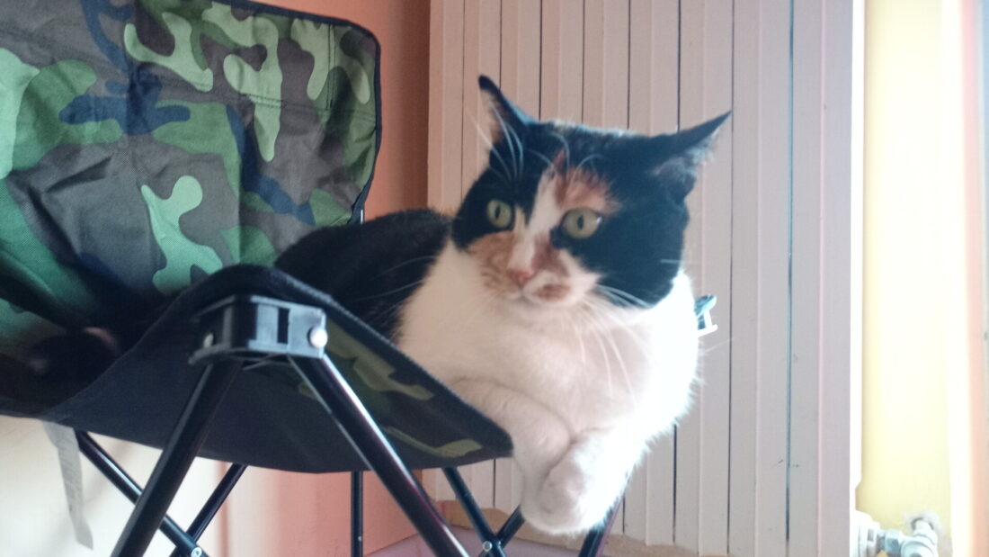 Carica e Vota - Giugno 2025