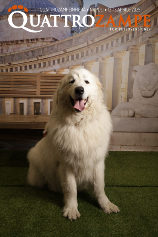 Concorso Fotografico - QuattroZampe in Fiera - Napoli - Aprile 2025