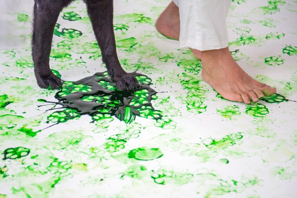 Una galleria d'arte per animali apre per la prima volta a Roma