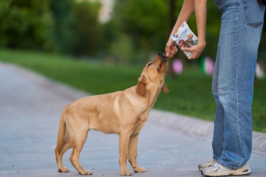 Una proprietaria con il suo cane al parco gli dà da mangiare uno dei nuovi prodotti Monge Gift