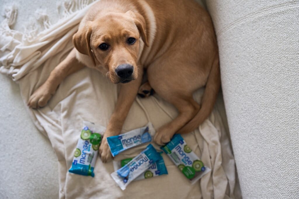 UN cane disteso per terra con accanto  alcuni prodotti della nuova linea Monge Gift