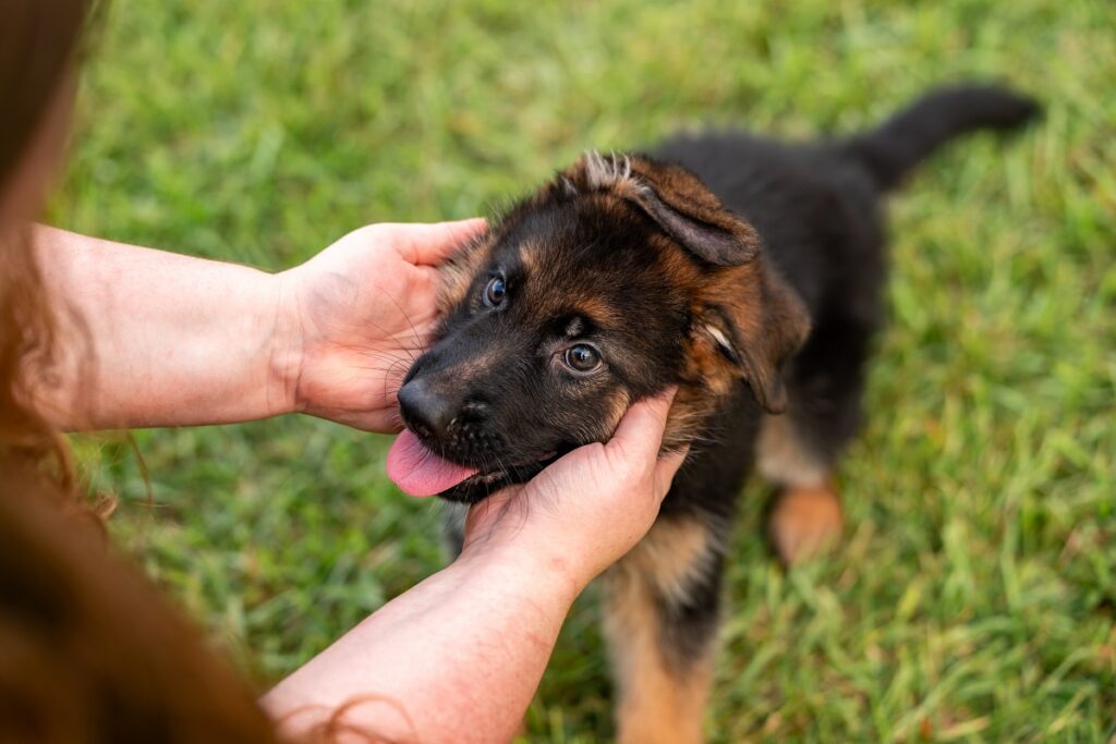 Una donna accarezza il suo cane in mezzo a un prato