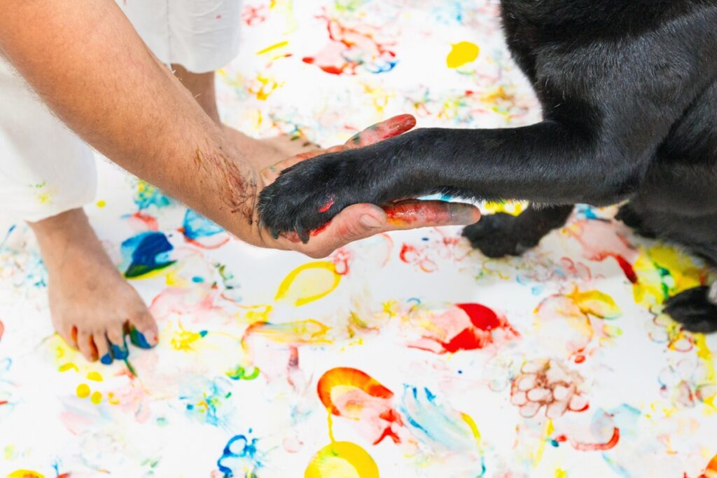 Alla prima galleria d'arte per animali i proprietari hanno la possibilità di creare tele con il proprio pet