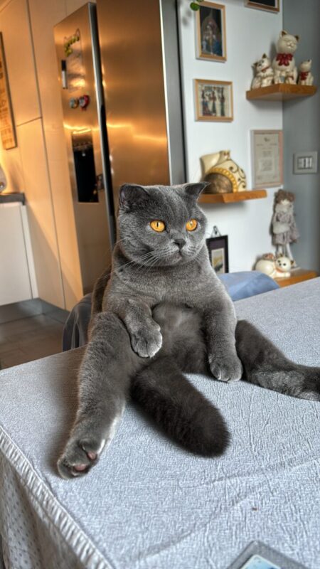 Carica e Vota - Luglio 2025