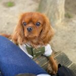 Carica e Vota - Luglio 2025