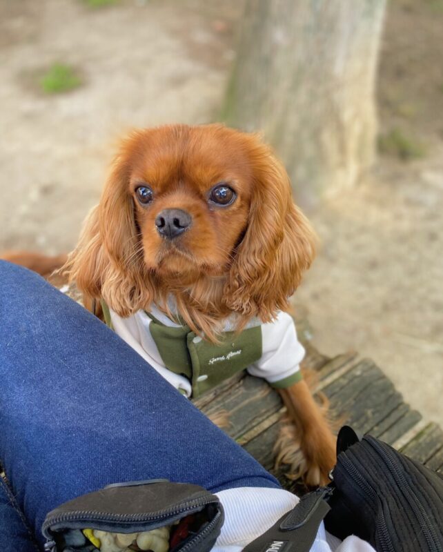 Carica e Vota - Luglio 2025