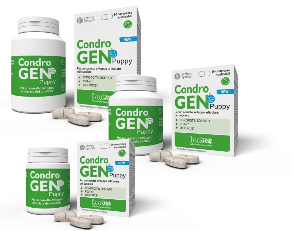 Condrogen® Puppy aiuta lo sviluppo delle articolazioni del cucciolo forti