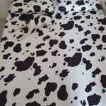 Carica e Vota - Luglio 2025