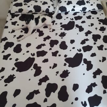 Carica e Vota - Luglio 2025