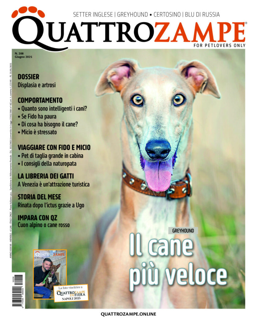 È in edicola il numero di giugno 2025 di Quattrozampe