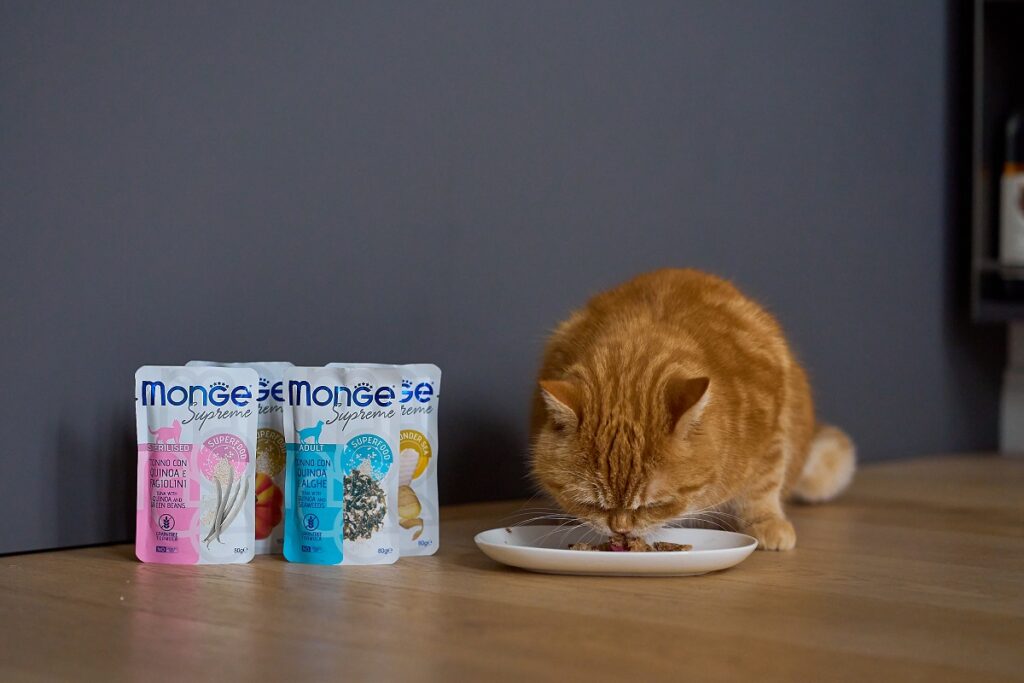 Un gatto che mangia una porzione di umido di cibo per gatti Monge Supreme