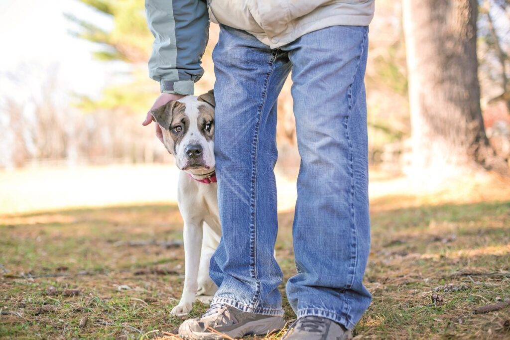 Un cane si nasconde dietro le gambe del suo proprietario mentre sono fuori al parco